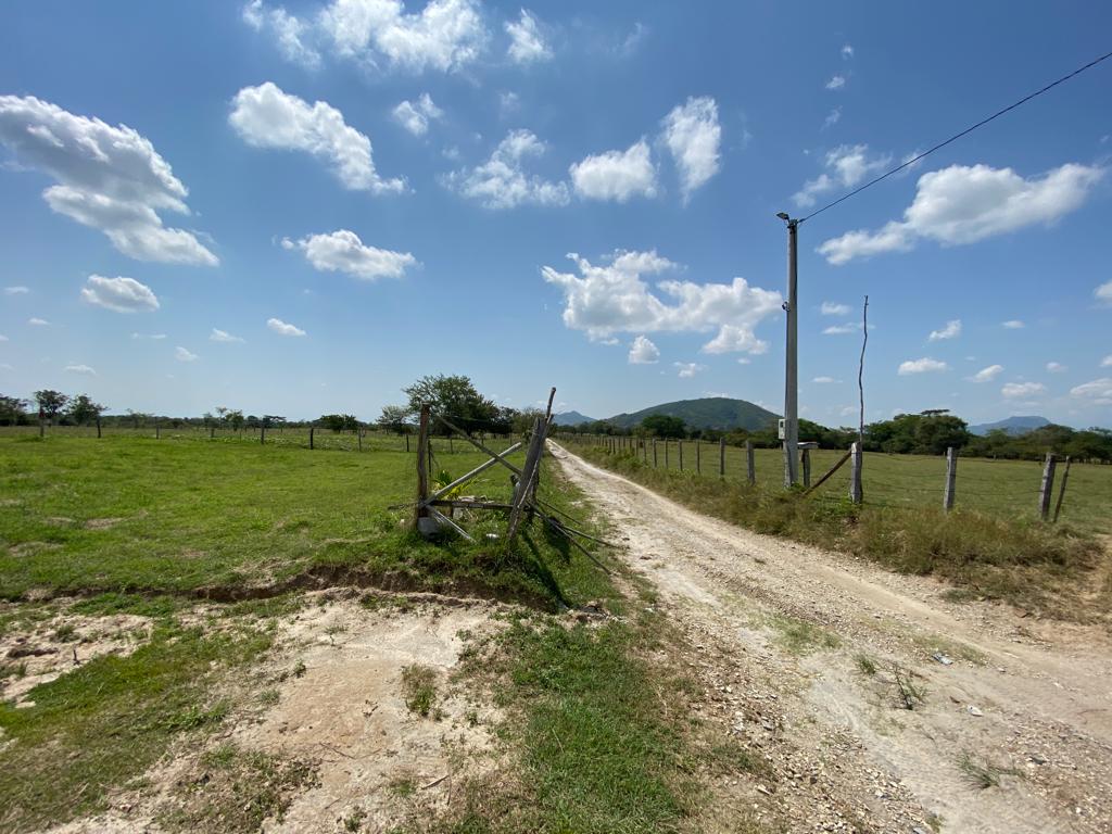 Lote No 17 - 603,47 Mt2 - San Luis - Tolima - Financiación a 1 año WhatsApp +573134283255