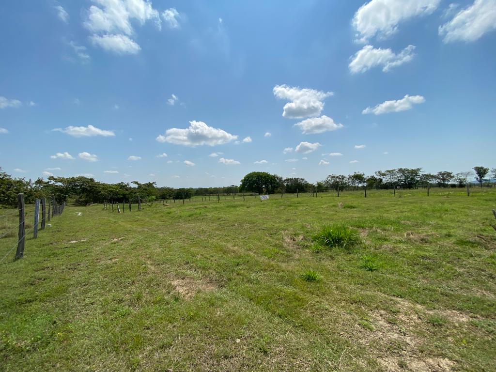 Lote No 18 - 600,85 Mt2 - San Luis - Tolima - Financiación a 1 año WhatsApp +573134283255