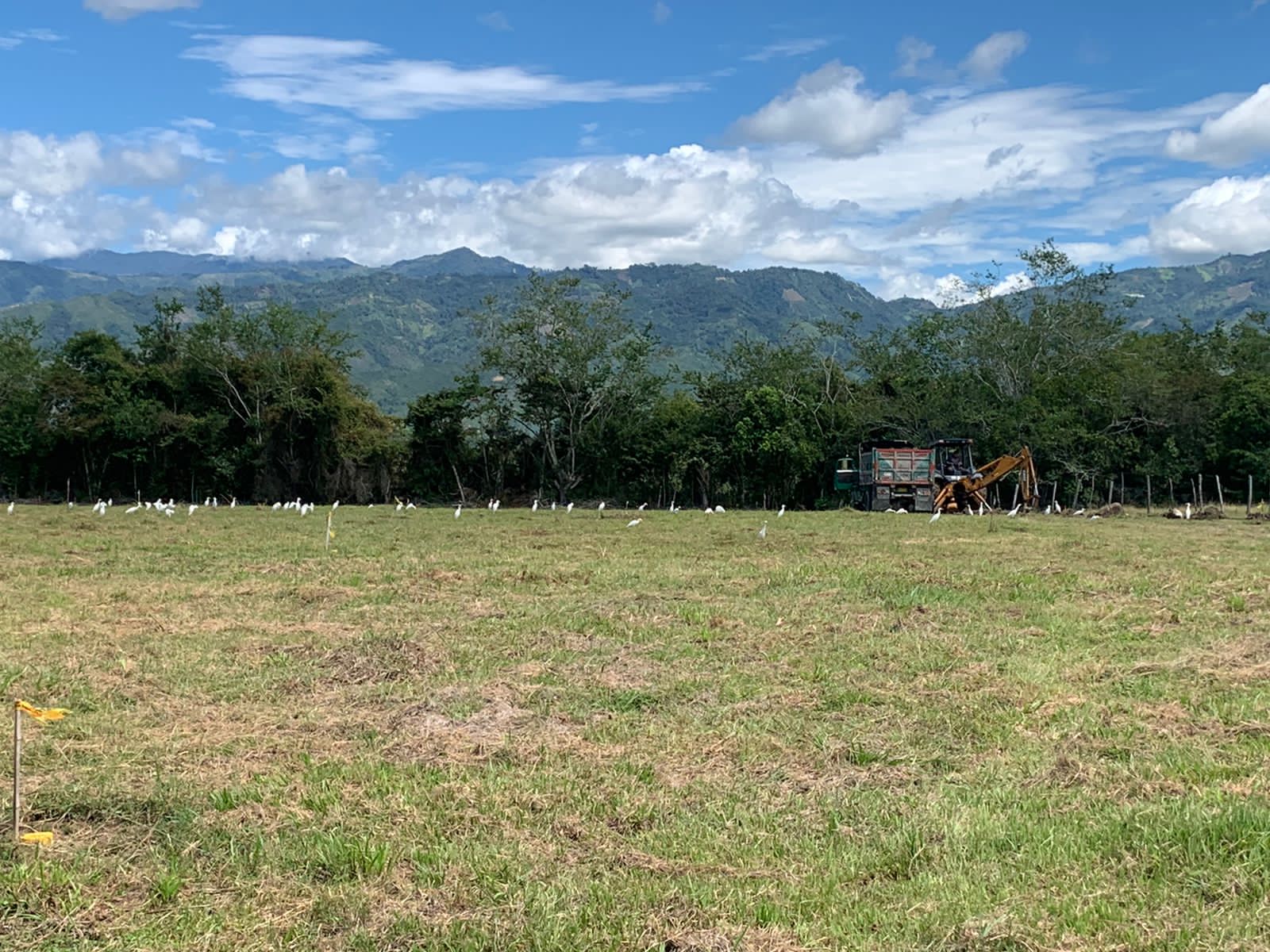 Lotes en Venta Vereda Aparco - Ibagué