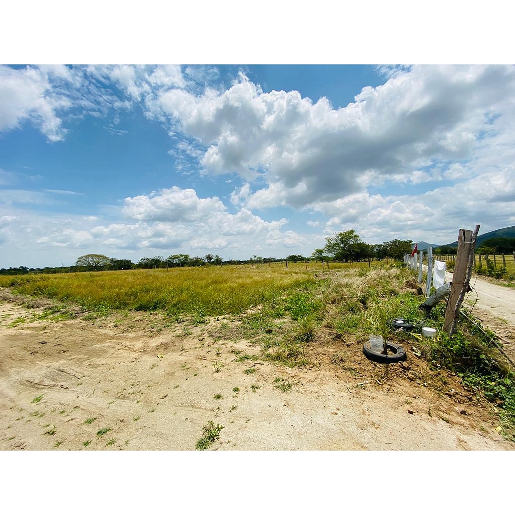 Venta Lote No 16 - 625 Mt2 - San Luis - Tolima