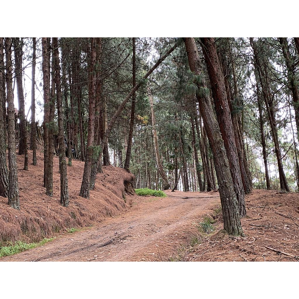 Lotes Rurales en Colombia para la Venta